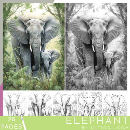 Elephant Coloring Book