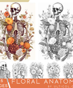 Floral Anatomy Coloring