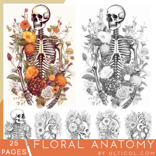 Floral Anatomy Coloring