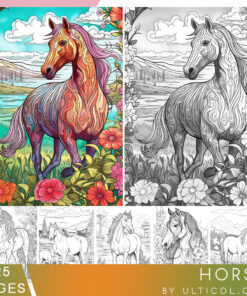 Horse Coloring Book