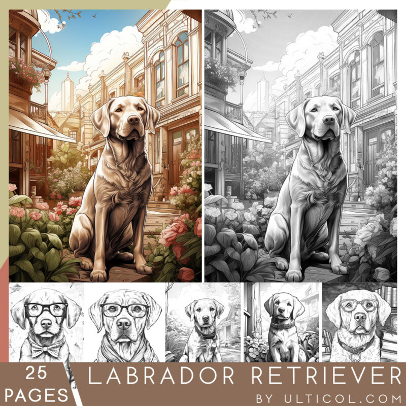 Labrador Retriever Coloring Pages, for Adults and Kids, Instant