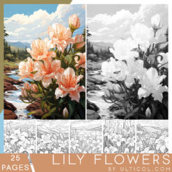 Lily Flowers Coloring