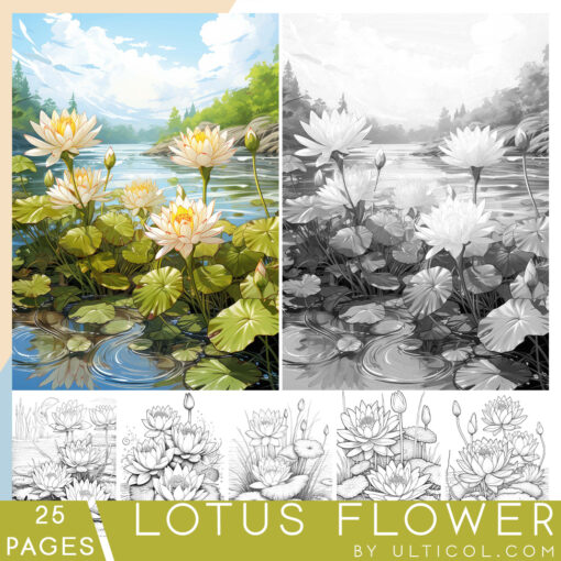 Lotus flower Coloring