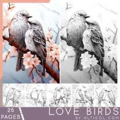 Love Birds Coloring