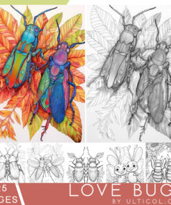 Love Bugs Coloring