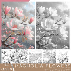 Magnolia Flowers Coloring