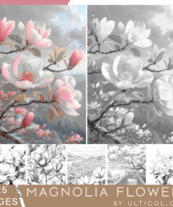 Magnolia Flowers Coloring