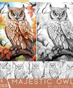 Majestic Owls Coloring