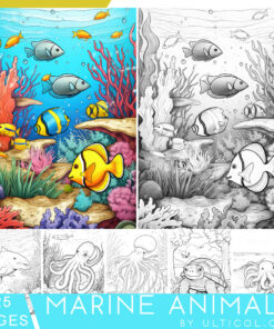 Sea Animal Grayscale Coloring Pages