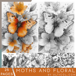 Moths and Floral Coloring