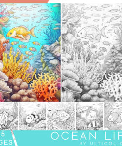 Ocean Life Sea Creatures Coloring Book