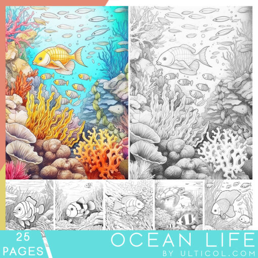 Ocean Life Sea Creatures Coloring Book