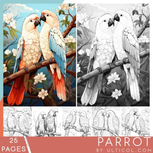 Parrot Coloring