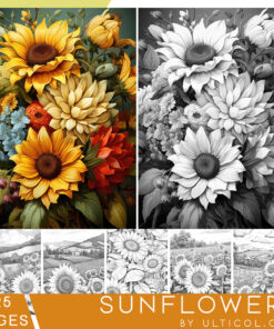 Sunflowers Coloring