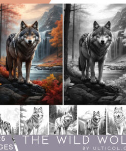 The Wild Wolf Coloring