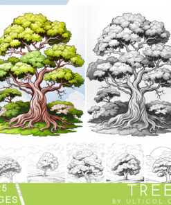 Trees Coloring Book