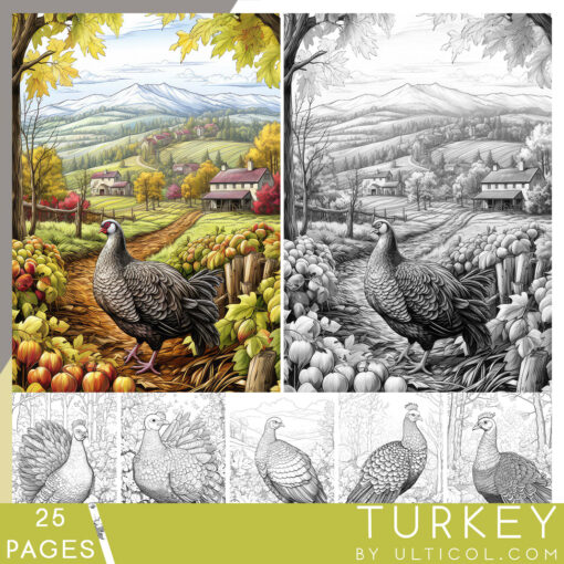 Turkey Coloring