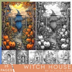 Witch House Coloring Pages for Adults, A Fantasy Halloween