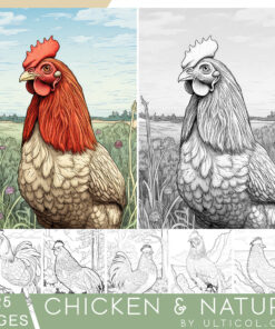 Chicken Grayscale Coloring Pages