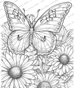 Moth Coloring