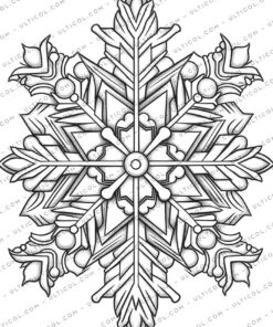 Christmas Snowflake Coloring