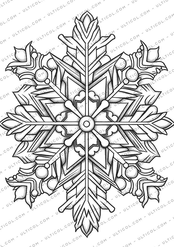 Christmas Snowflake Coloring