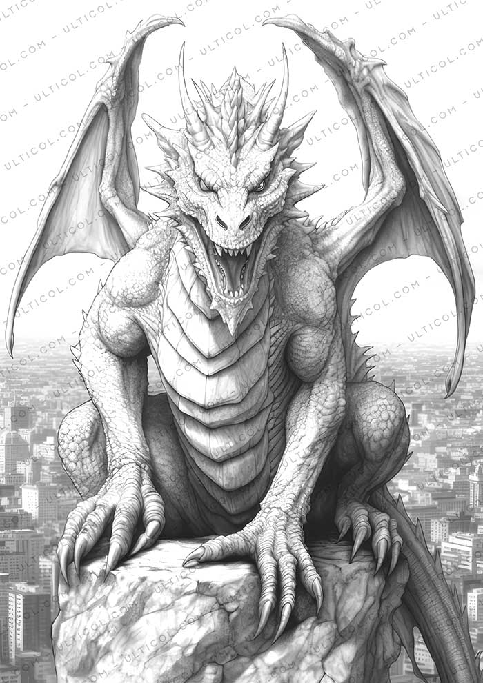 Dragon Fantasy Coloring Page Book, Adults + kids