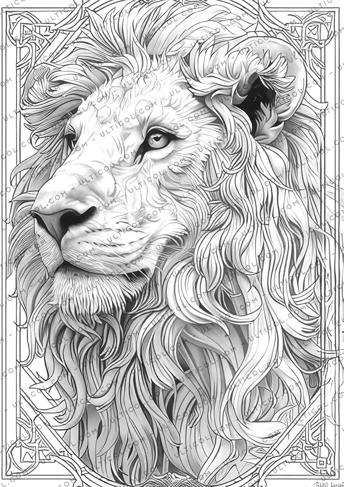 Spirit Animals Coloring