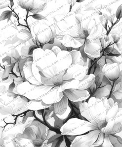 Magnolia Flowers Coloring