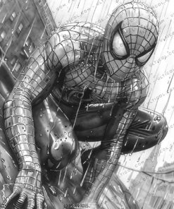 Superheros Coloring