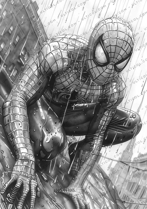 Superheros Coloring