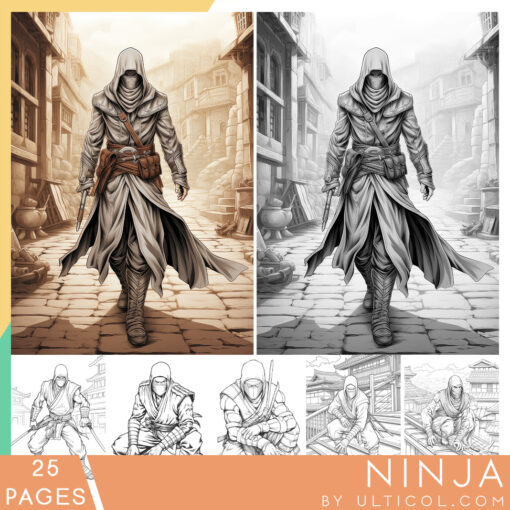 Ninja Coloring Book