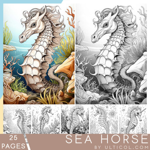 Sea horse Coloring