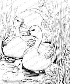 The Ugly Duckling Grayscale Coloring Pages