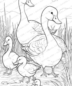 The Ugly Duckling Grayscale Coloring Pages